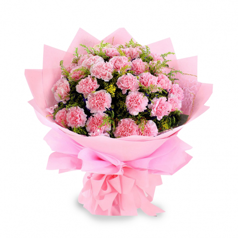 Pink Carnation Bunch delivery in Indore