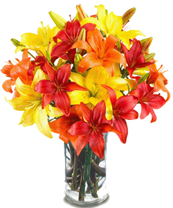 Mix Asiatic Lilliums in a glass vase