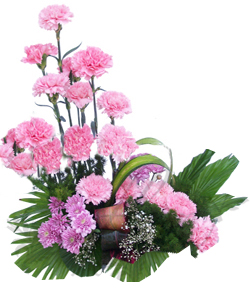 Basket of 20 Carnations