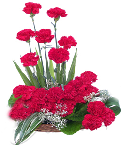 Basket of 20 Carnations